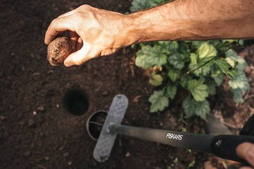 Zakładanie i pielęgnacja ogródka ziołowo-warzywnego krok po kroku